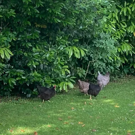 בית נופש La Lezardiere